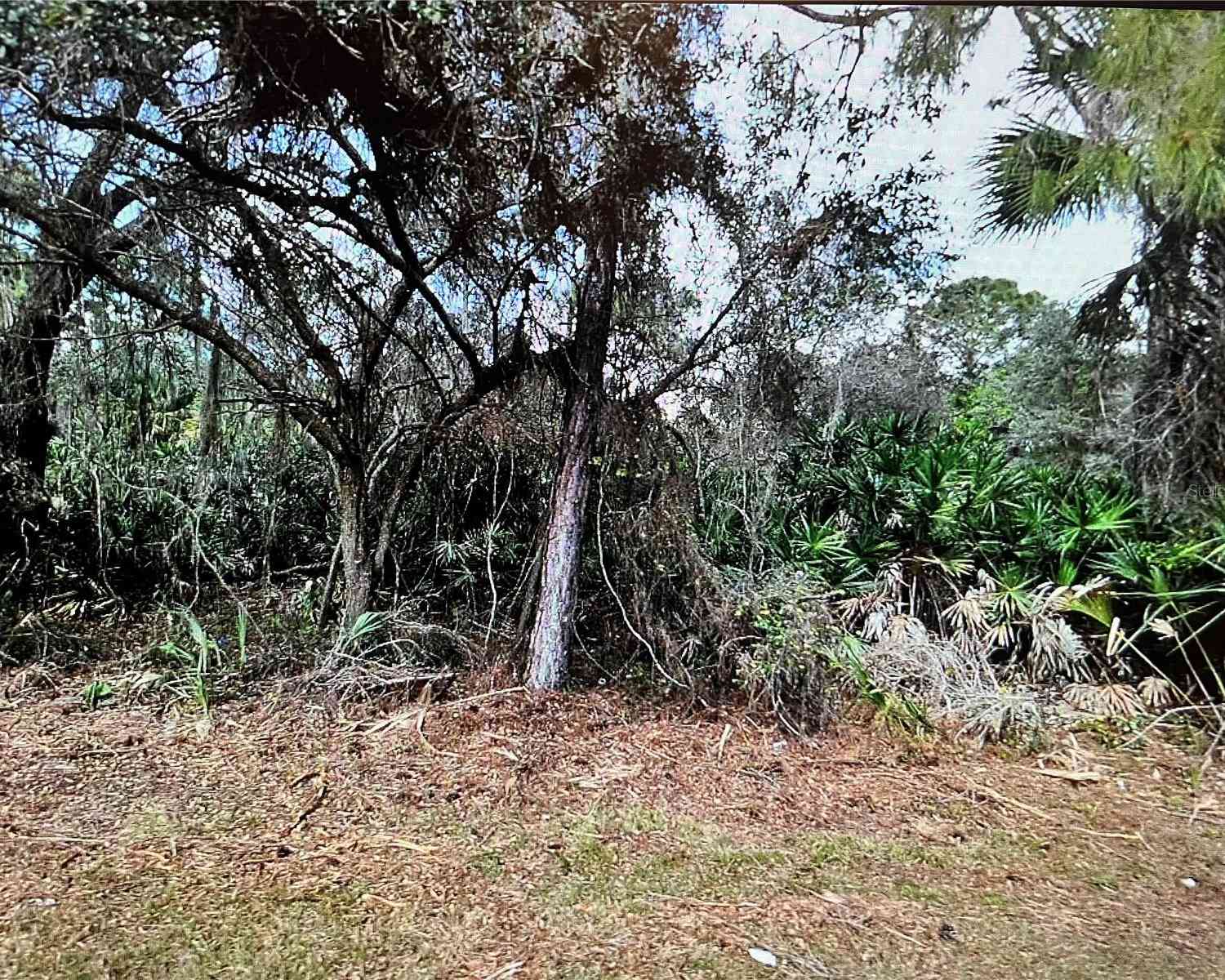 LOT 21 Surf Avenue, NORTH PORT, Florida image 2