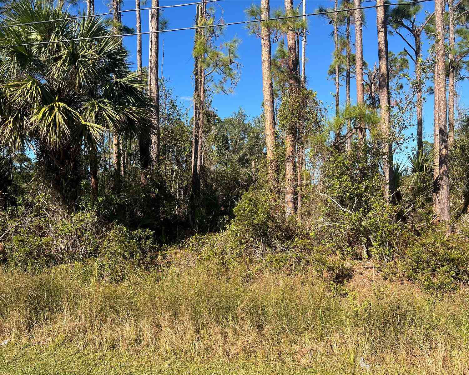 Glordano Avenue, NORTH PORT, Florida image 1