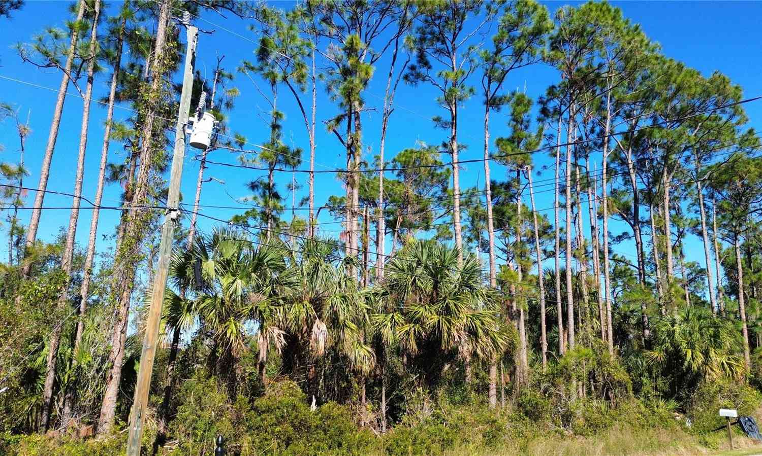 Glordano Avenue, NORTH PORT, Florida image 6