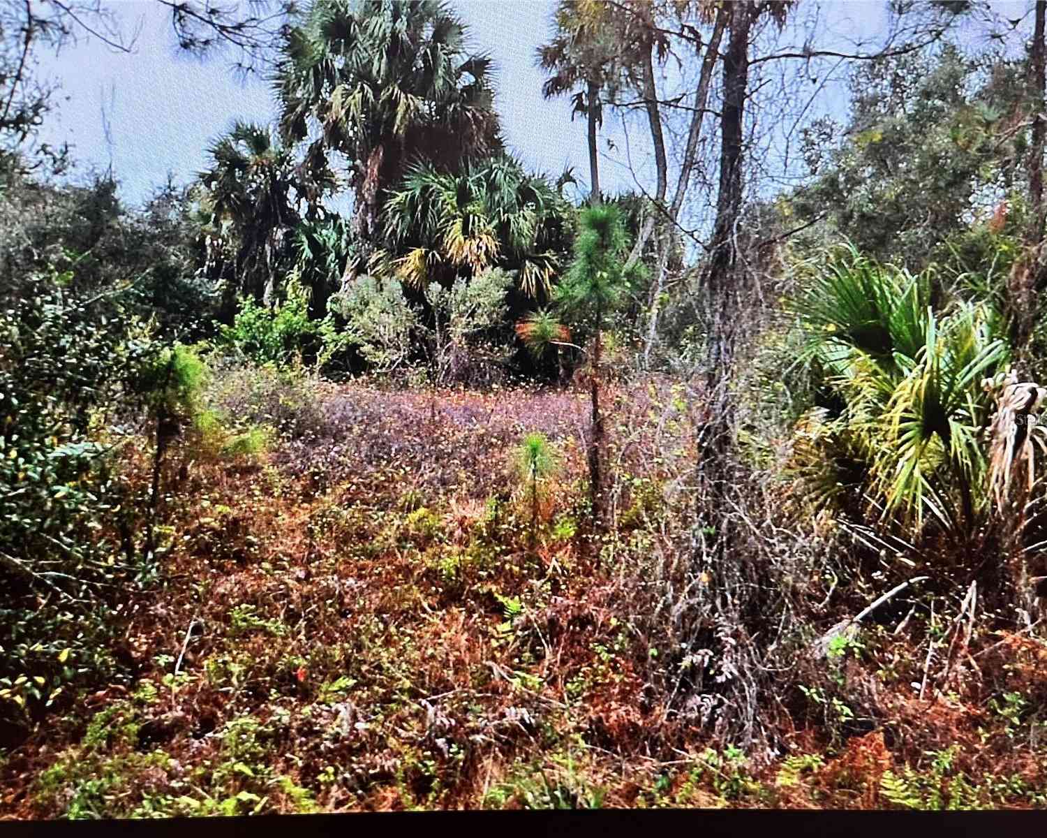 LOT 31 Corbett Lane, NORTH PORT, Florida image 2