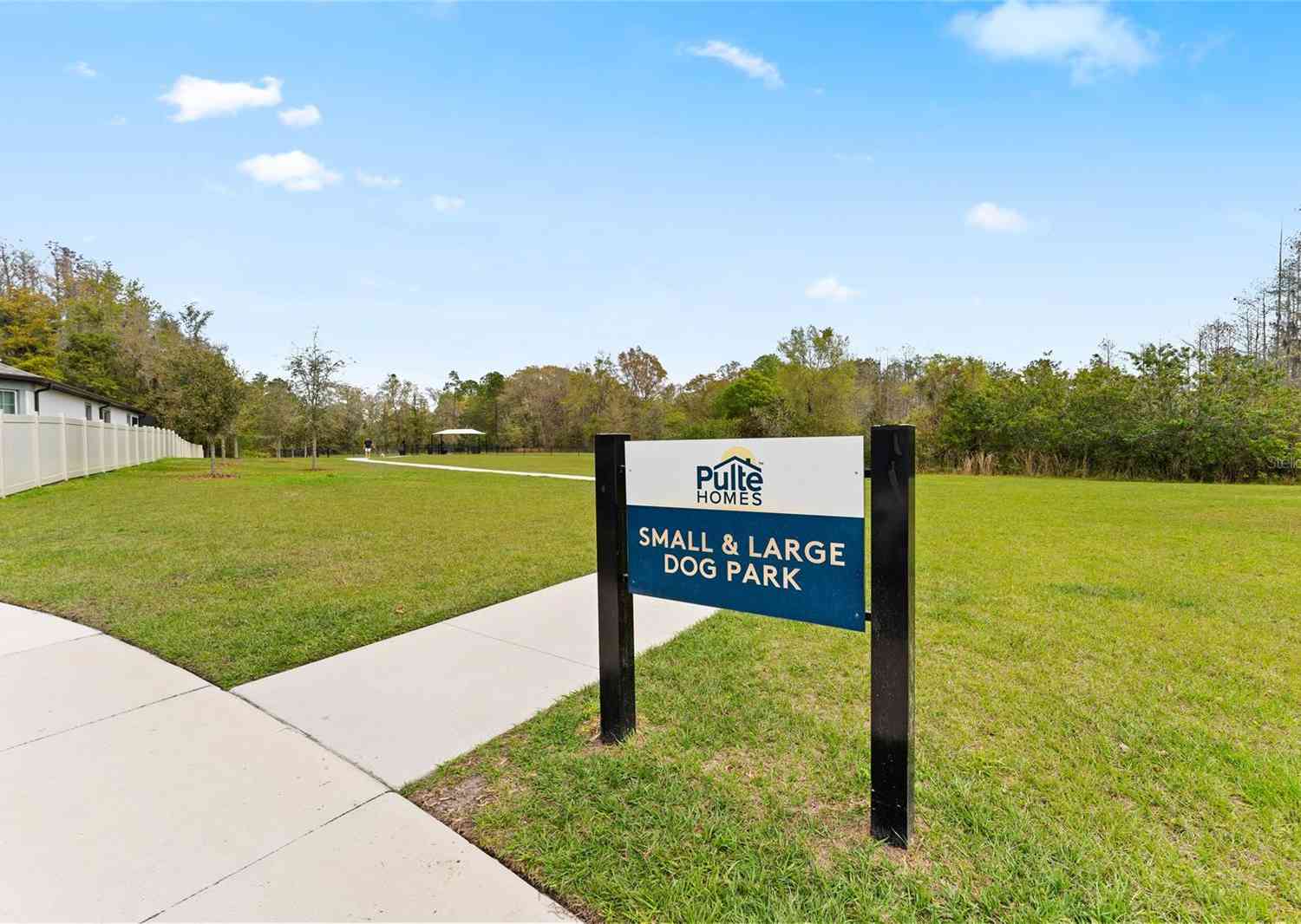 20602 Monza Loop, Land O Lakes, Florida image 39