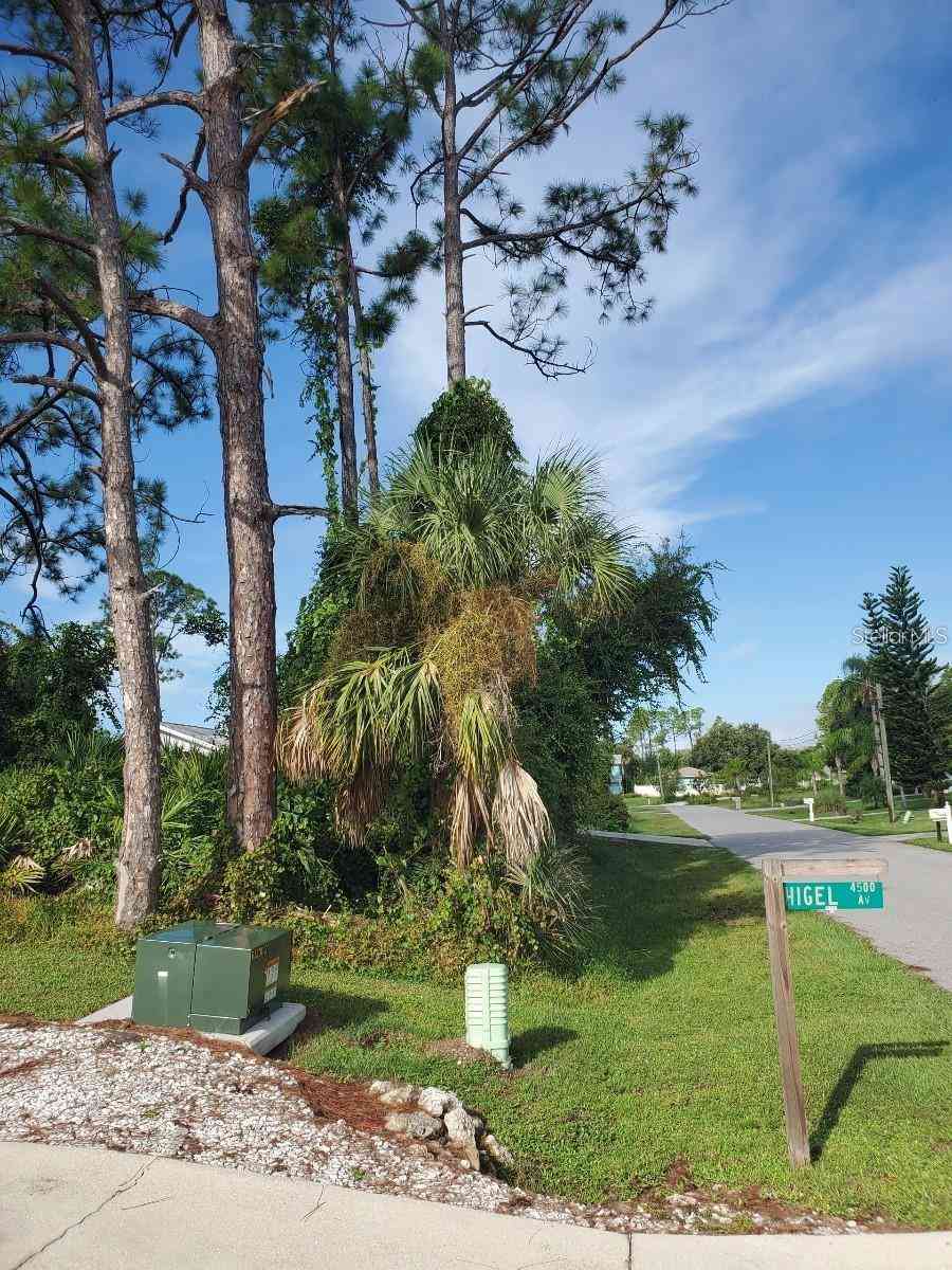 Slayton Avenue, NORTH PORT, Florida image 8