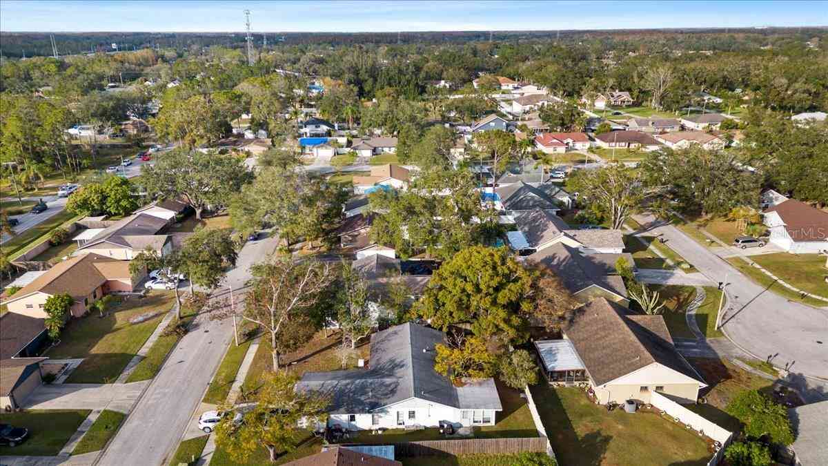 14915 Gentilly Place, Tampa, Florida image 43