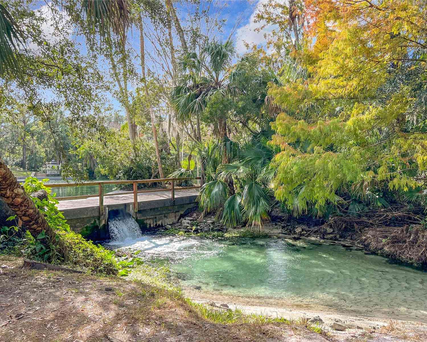 209 Tomoka Trail #209, LONGWOOD, Florida image 5