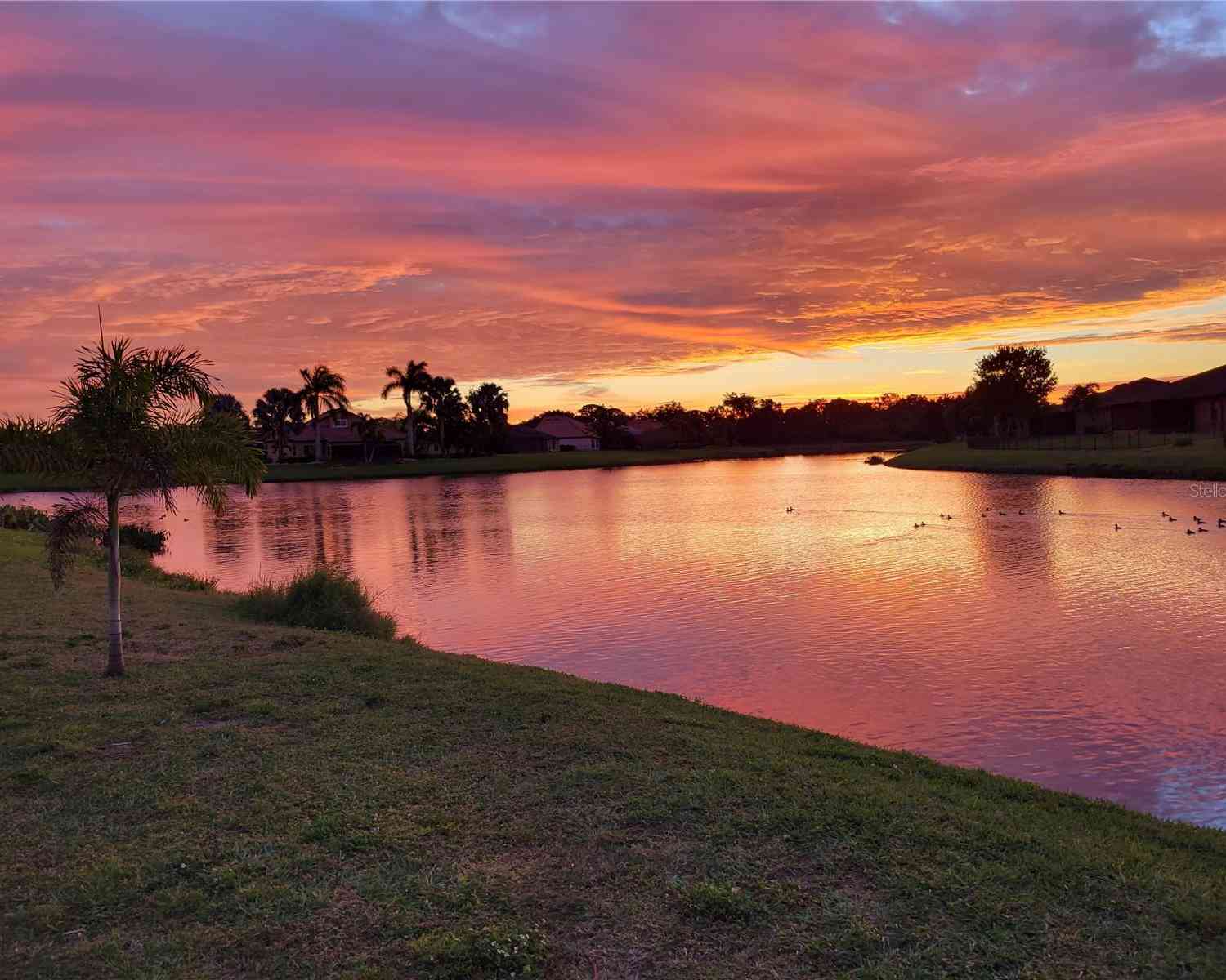 5440 Sandy Shell Drive, Apollo Beach, Florida image 5