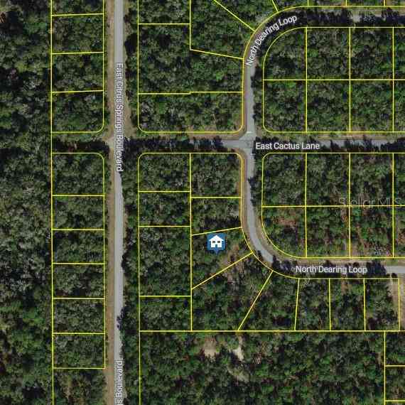 9654 N Dearing Loop, CITRUS SPRINGS, Florida image 2