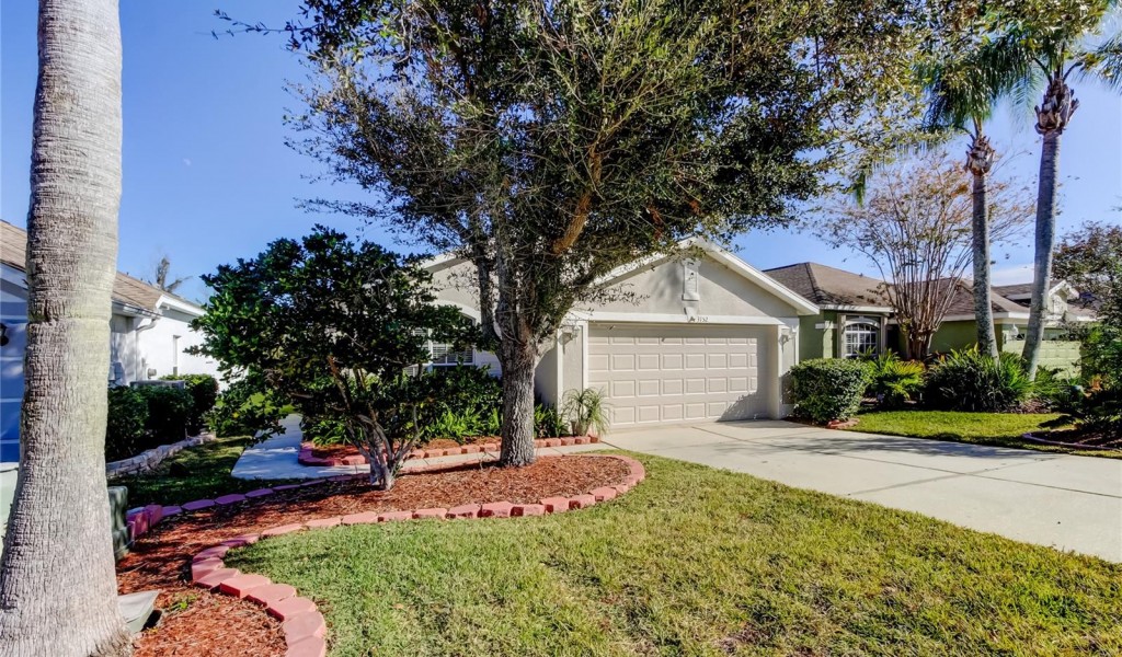 3152 Banyan Hill Lane, Land O Lakes, Florida image 2