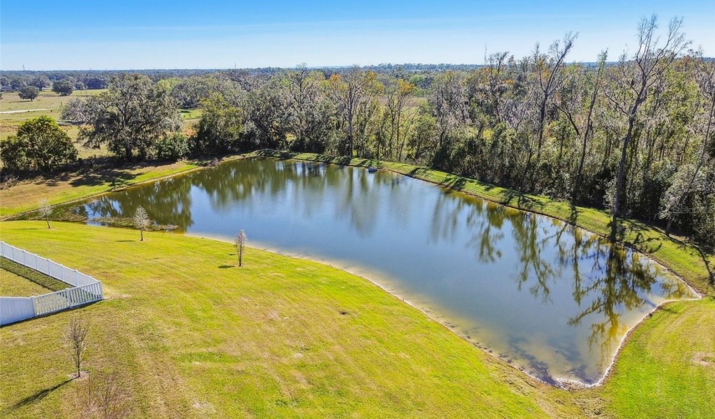 35980 Morse Willow Court, ZEPHYRHILLS, Florida image 45