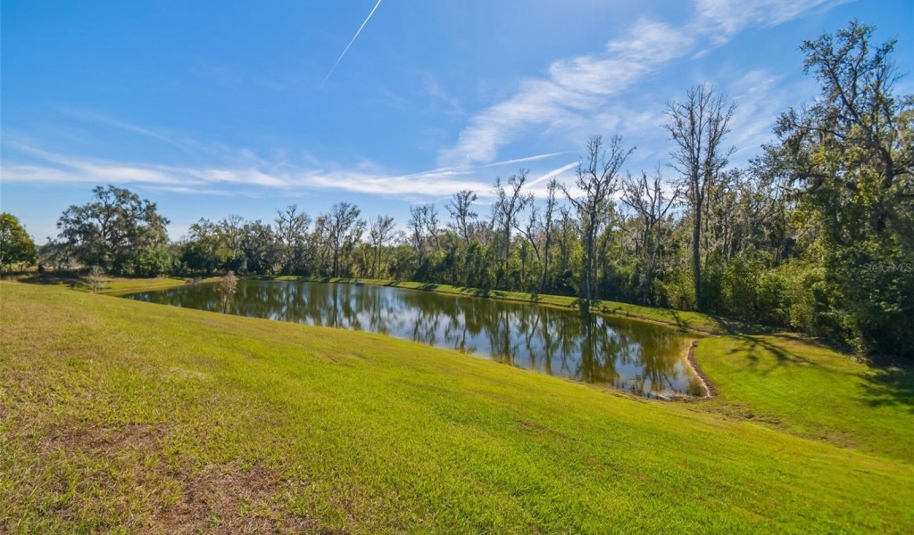 35980 Morse Willow Court, ZEPHYRHILLS, Florida image 8