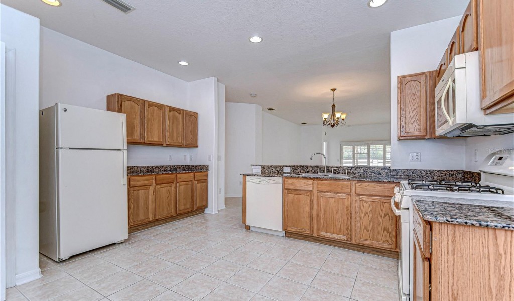 30826 Prout Court, Wesley Chapel, Florida image 19