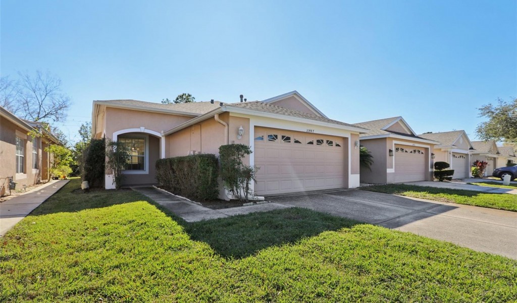 31447 Shaker Circle, Wesley Chapel, Florida image 1