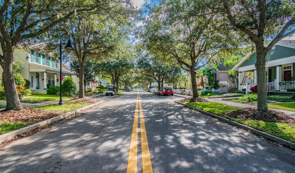 3481 Bumelia Lane, New Port Richey, Florida image 41