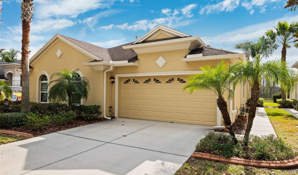 20716 Amanda Oak Court, Land O Lakes, Florida image 3