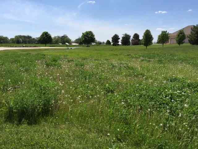 17402 Wildflower Circle, Union, Illinois image 7