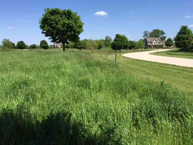 17402 Wildflower Circle, Union, Illinois image 6