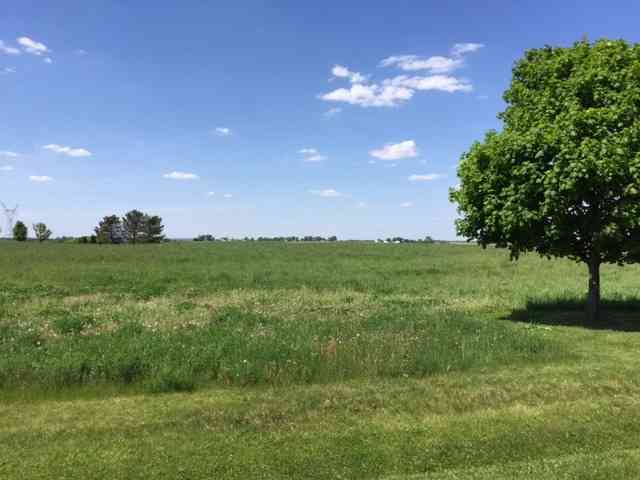 17402 Wildflower Circle, Union, Illinois image 2