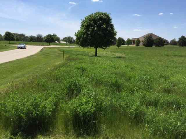 17402 Wildflower Circle, Union, Illinois image 5