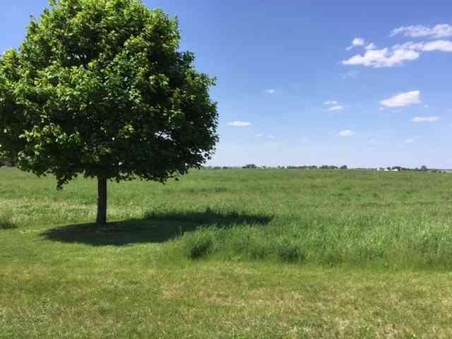 17402 Wildflower Circle, Union, Illinois image 3