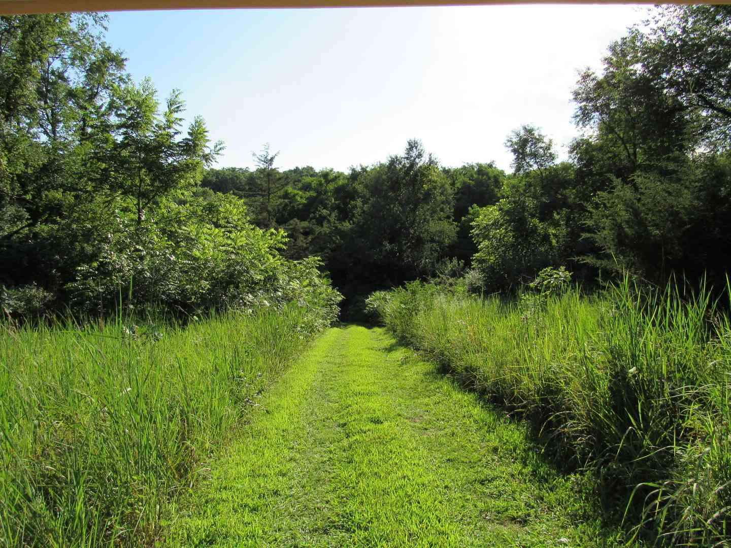 Lot 16 Meyers Road, Mt. Carroll, Illinois image 29