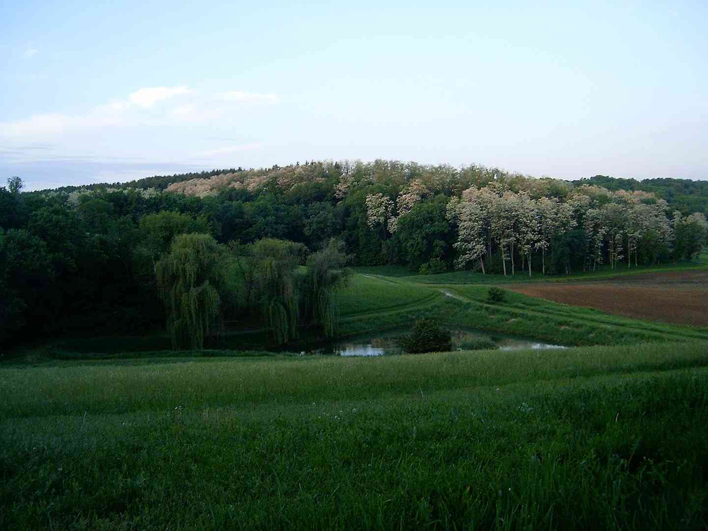 Lot 16 Meyers Road, Mt. Carroll, Illinois image 47