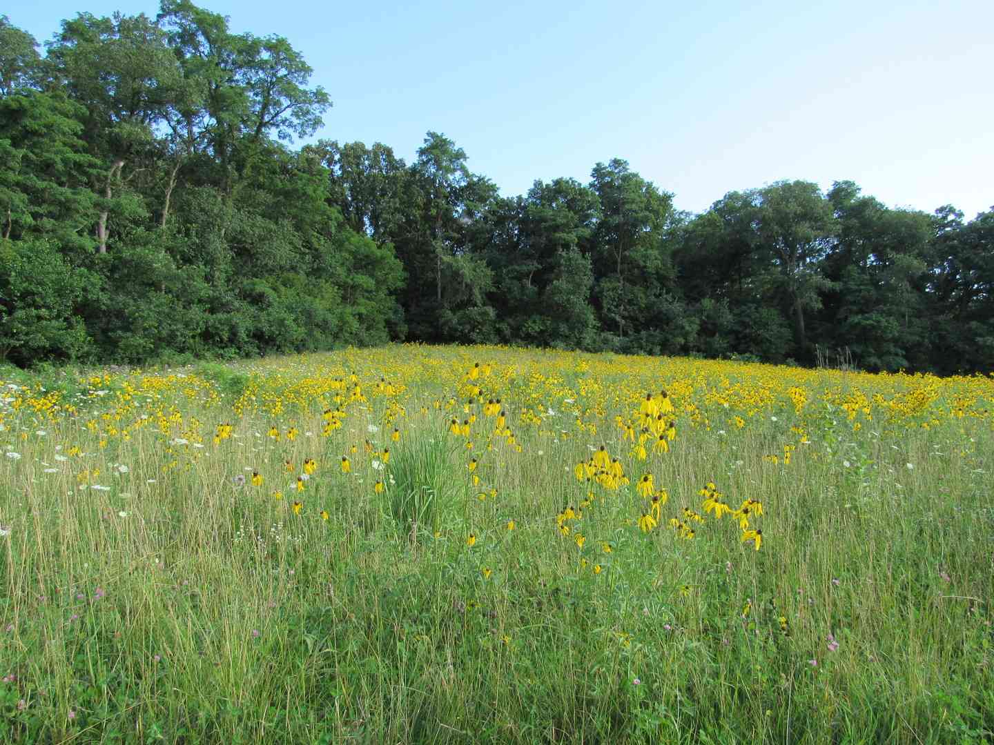 Lot 16 Meyers Road, Mt. Carroll, Illinois image 35