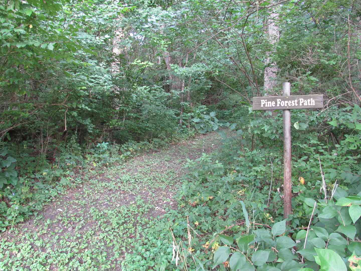 Lot 16 Meyers Road, Mt. Carroll, Illinois image 37