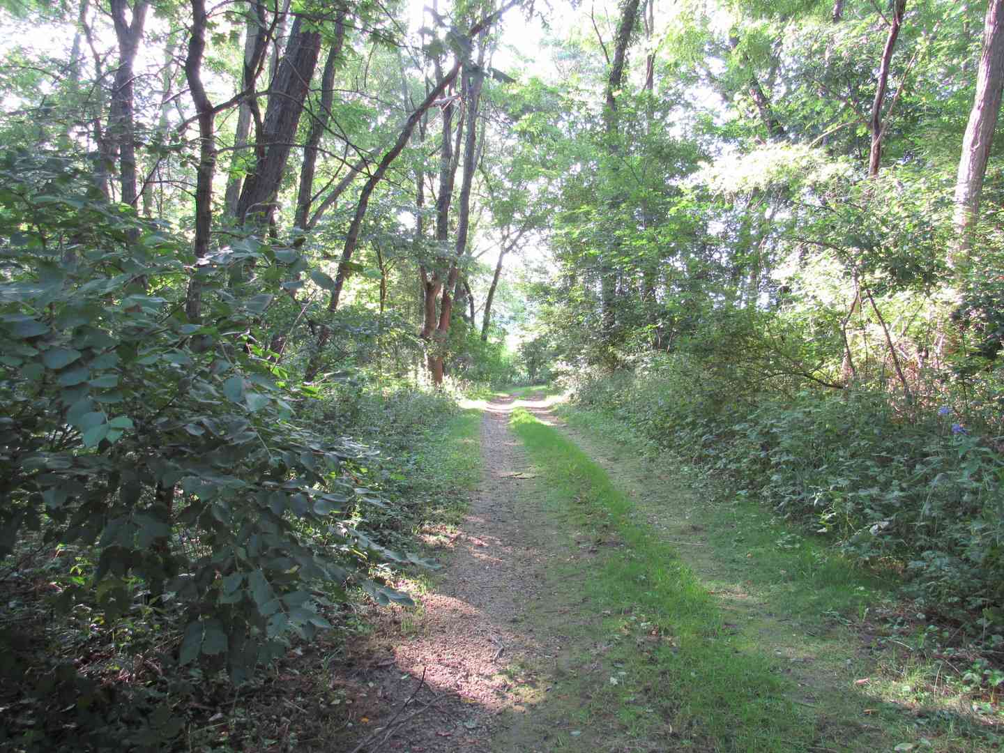 Lot 16 Meyers Road, Mt. Carroll, Illinois image 30