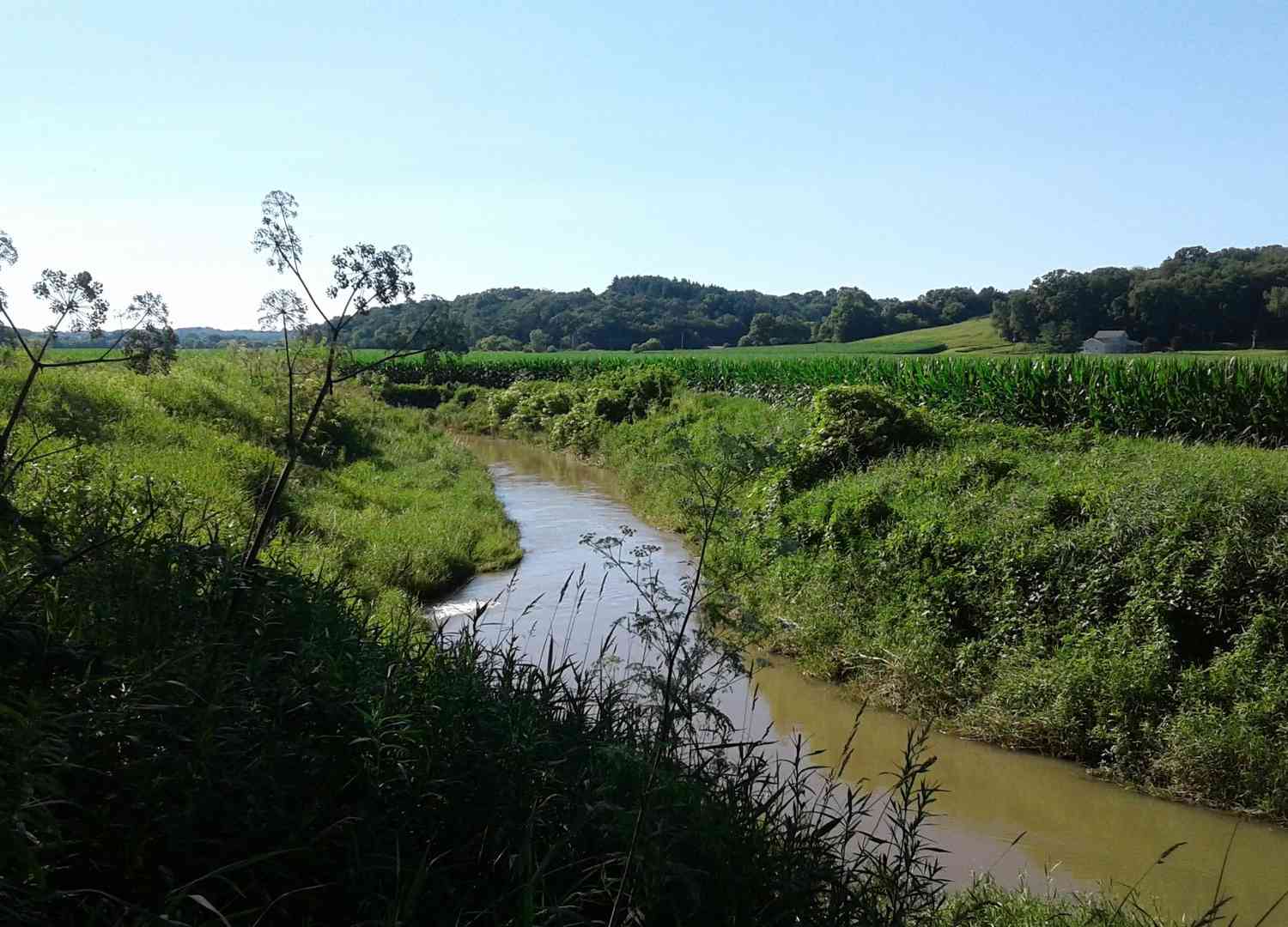 Lot 16 Meyers Road, Mt. Carroll, Illinois image 46