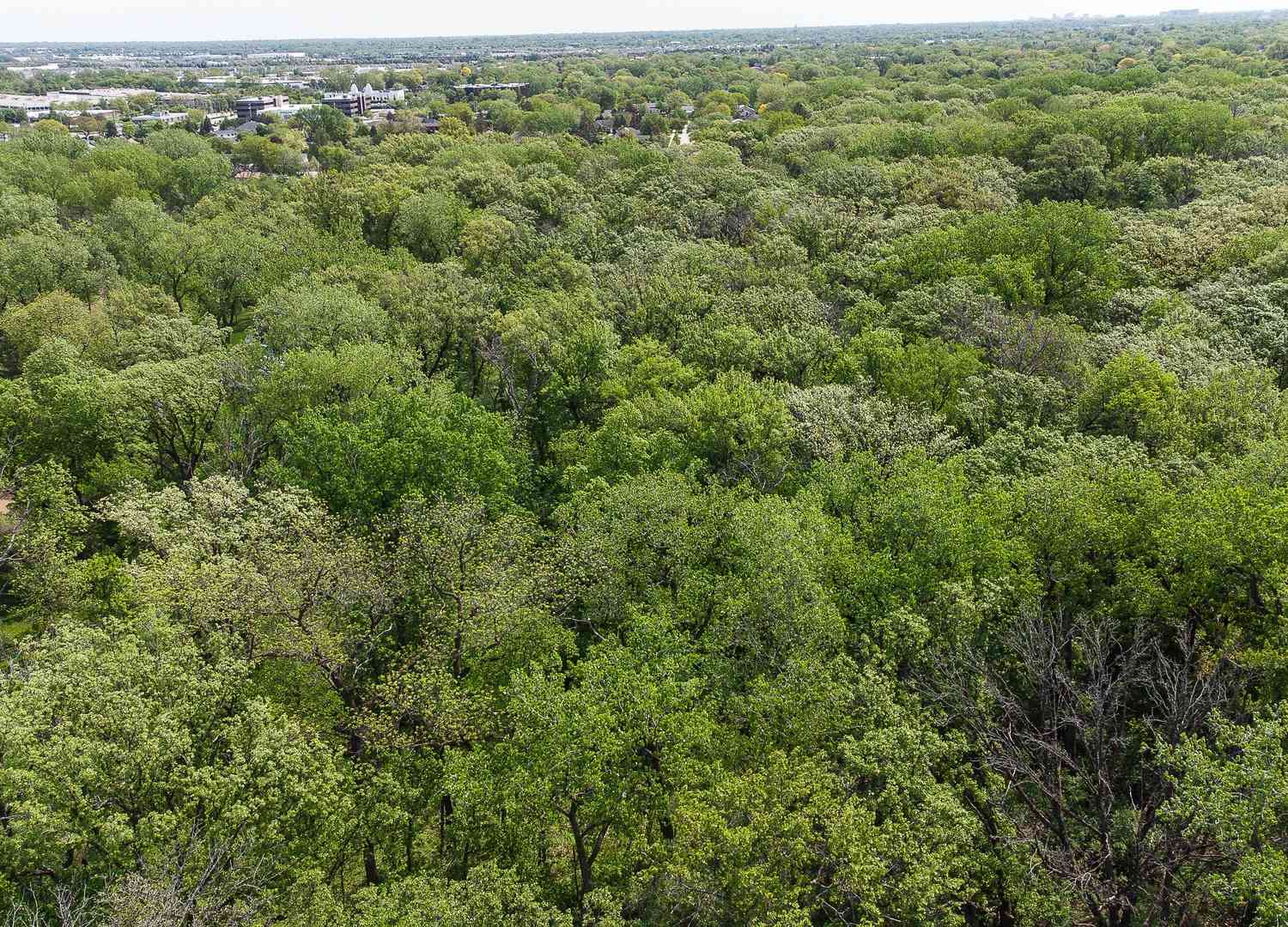 1594 Portage Run, Glenview, Illinois image 7