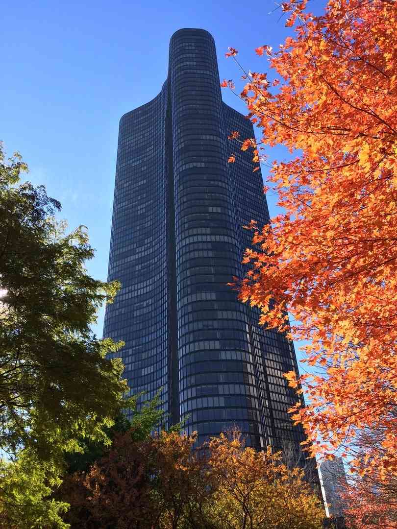 505 N Lake Shore Drive #6601, Chicago, Illinois image 1