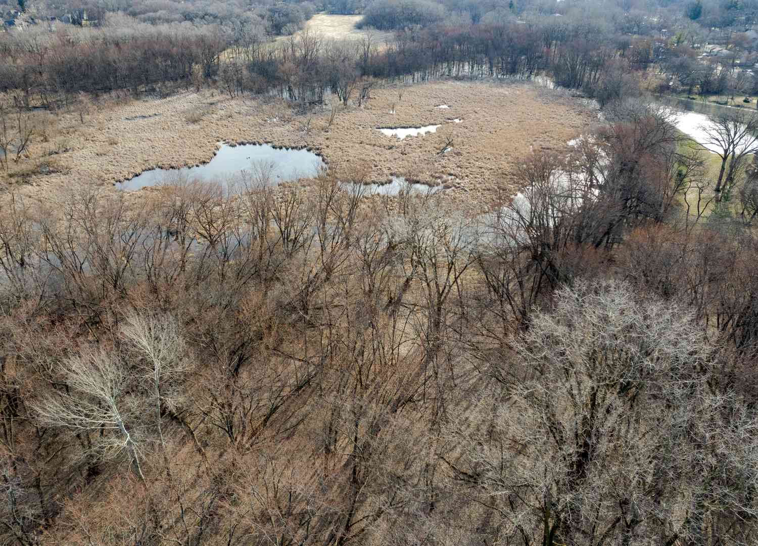 Lot 10 Millard Avenue, Crystal Lake, Illinois image 1