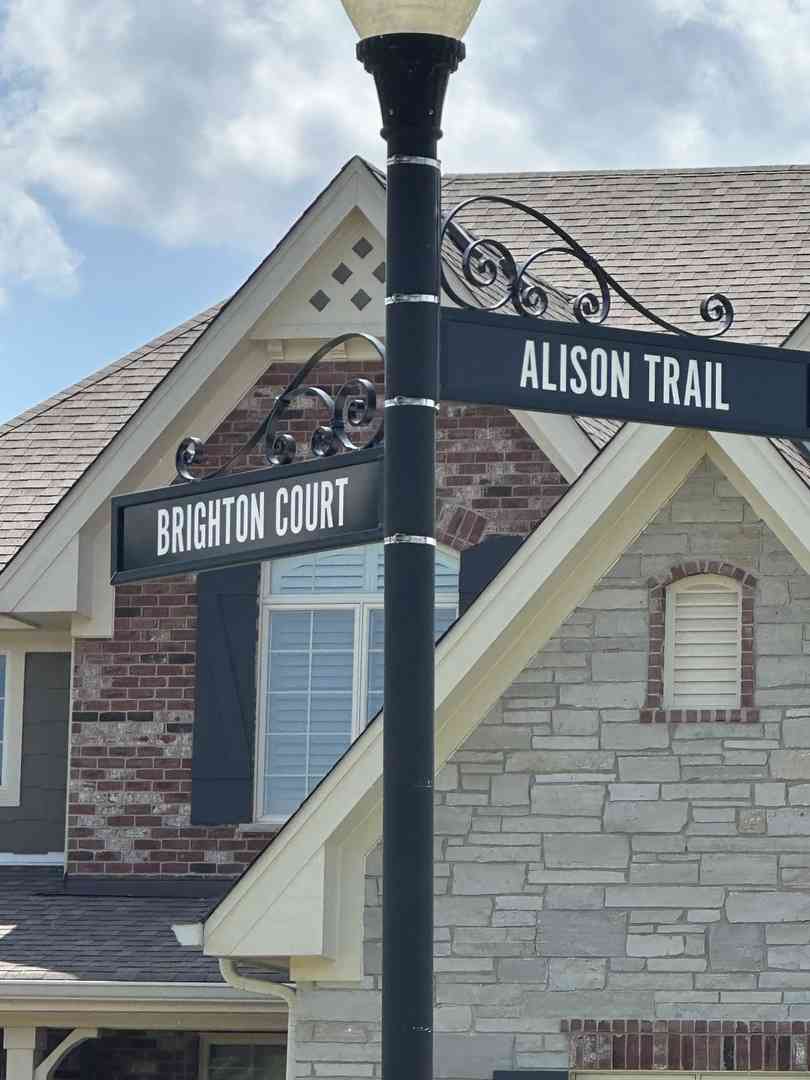 20140 Alison Trail, Mokena, Illinois image 6