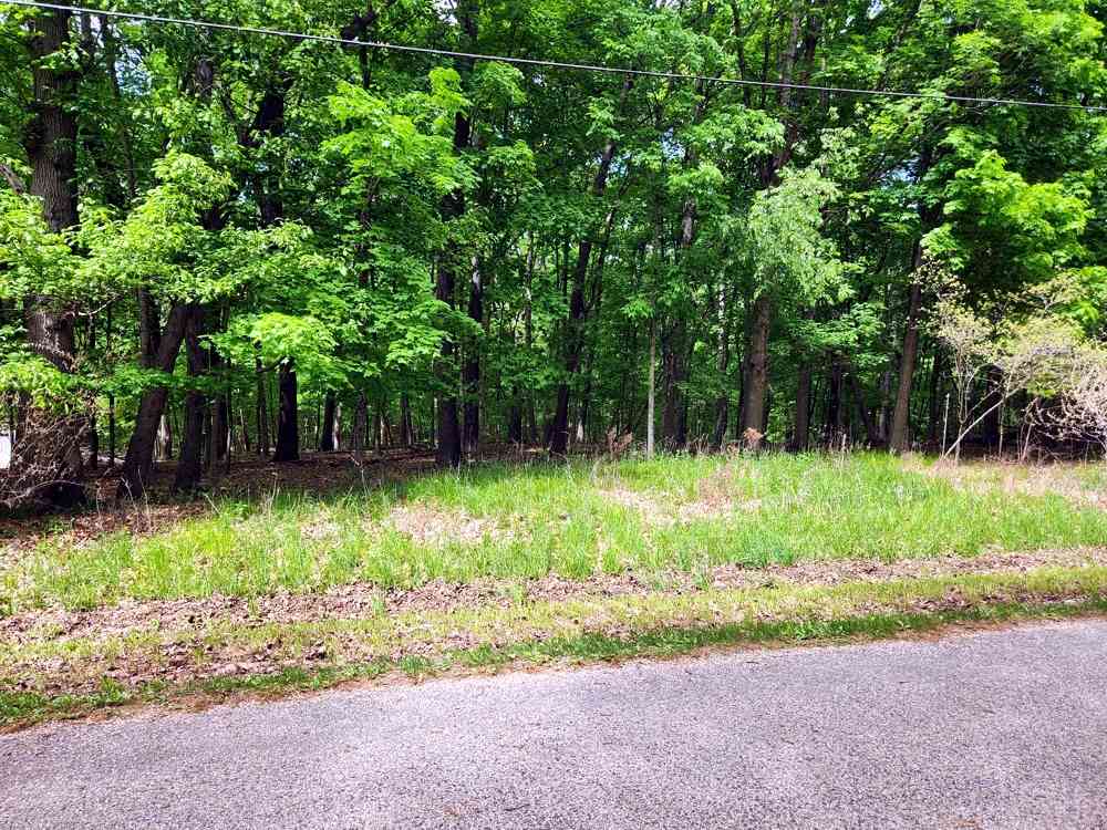 Lot 285 Winter Haven Drive, Varna, Illinois image 2