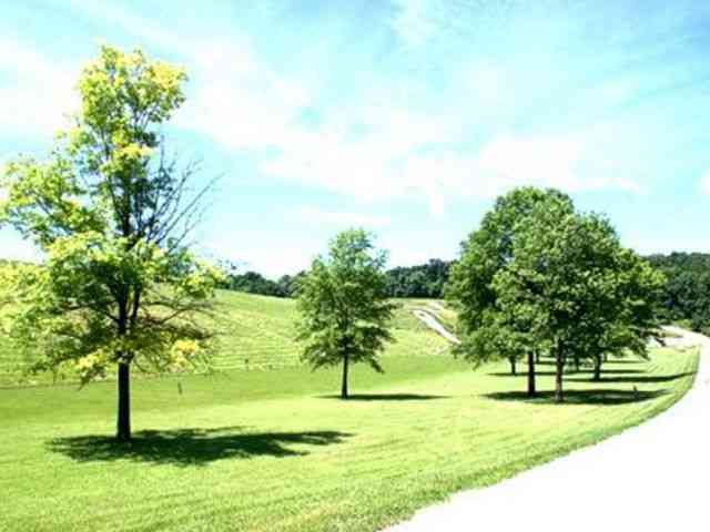 Lot 285 Winter Haven Drive, Varna, Illinois image 24