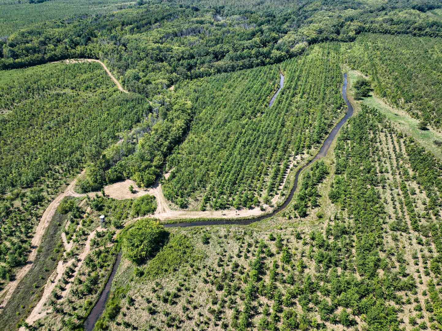 0000 Mayflower Road, Clay City, Illinois image 9