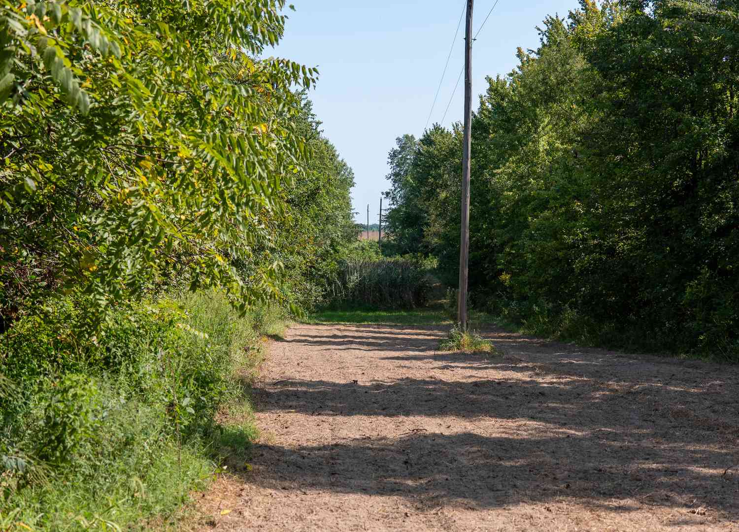 0000 Mayflower Road, Clay City, Illinois image 36