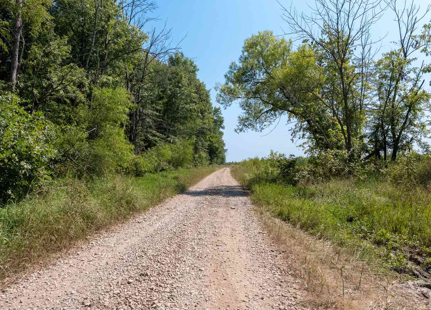 0000 Mayflower Road, Clay City, Illinois image 39