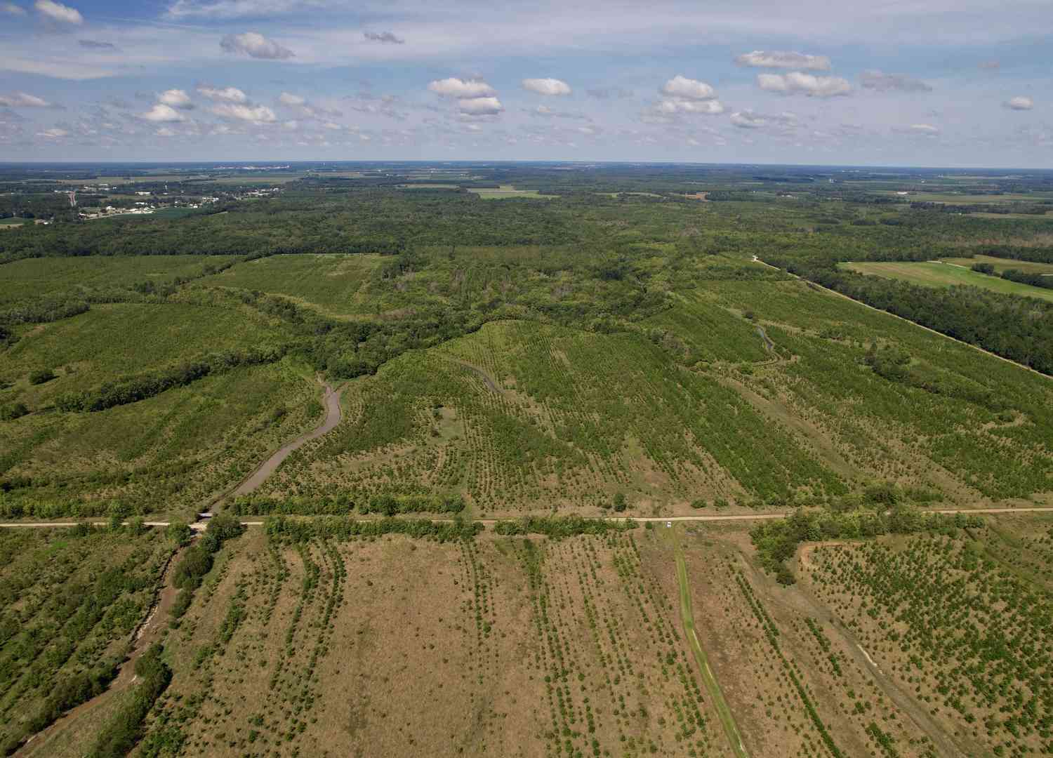 Tract 4 Mayflower Road, Clay City, Illinois image 35