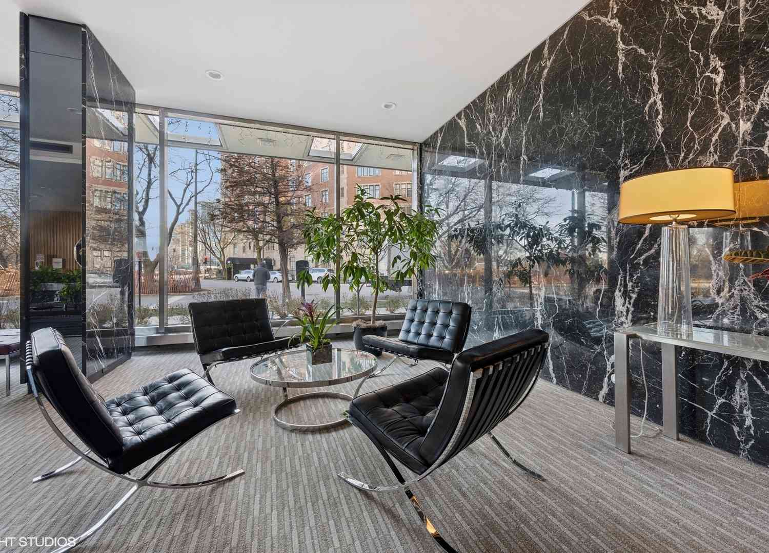 3900 N Lake Shore Drive #6D, Chicago, Illinois image 3