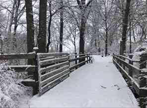 101 4th Street, Fisher, Illinois image 31