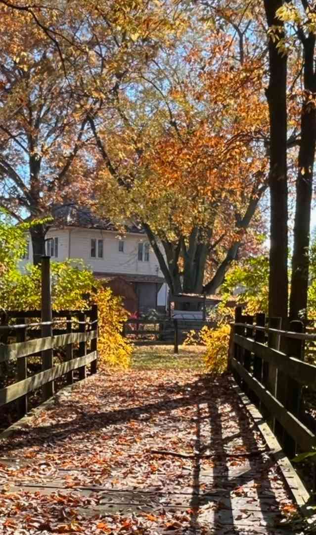 101 4th Street, Fisher, Illinois image 33