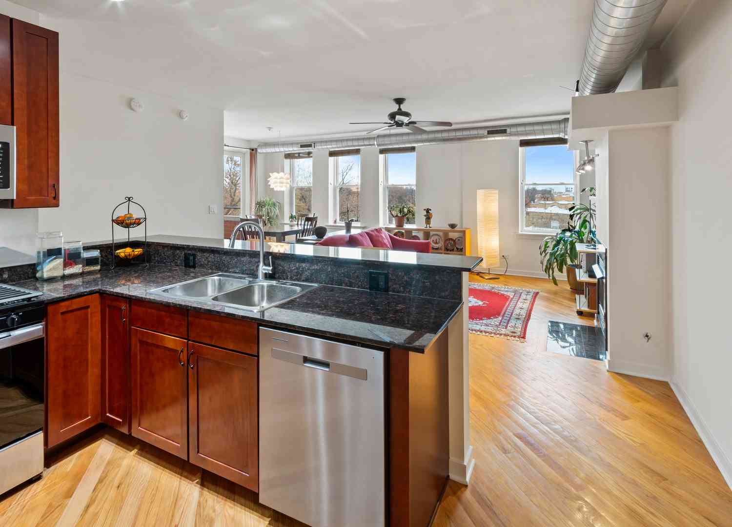 3550 W Montrose Avenue #505, Chicago, Illinois image 10