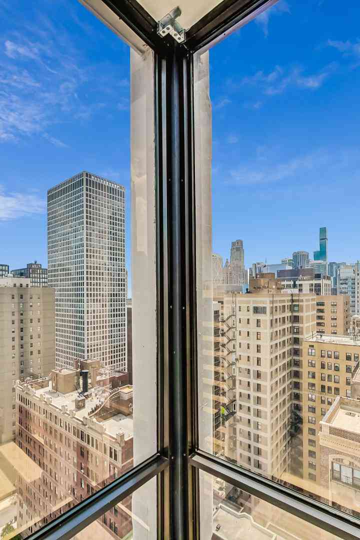 200 E Delaware Place #24D, Chicago, Illinois image 8