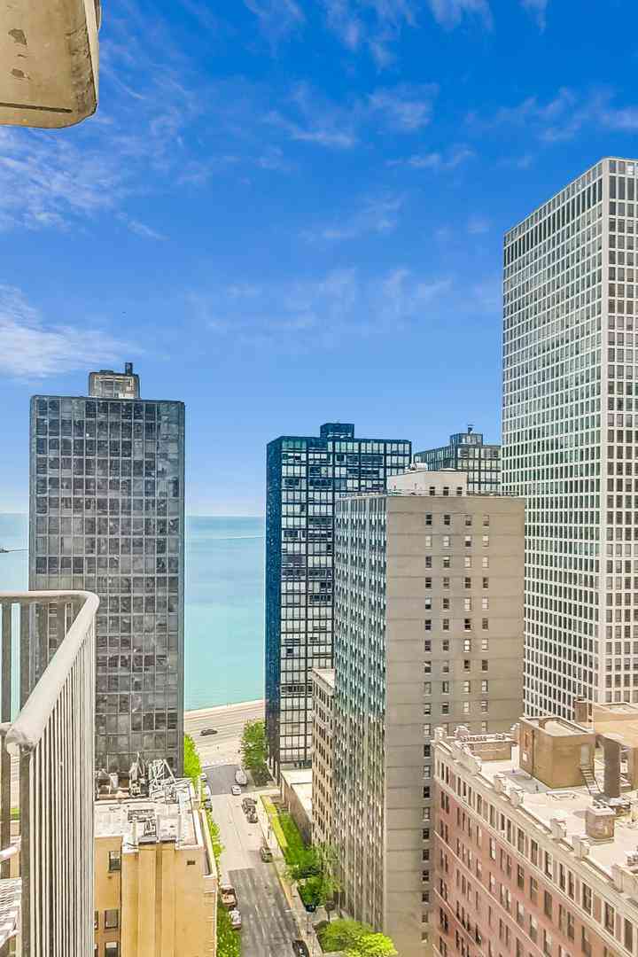 200 E Delaware Place #24D, Chicago, Illinois image 9