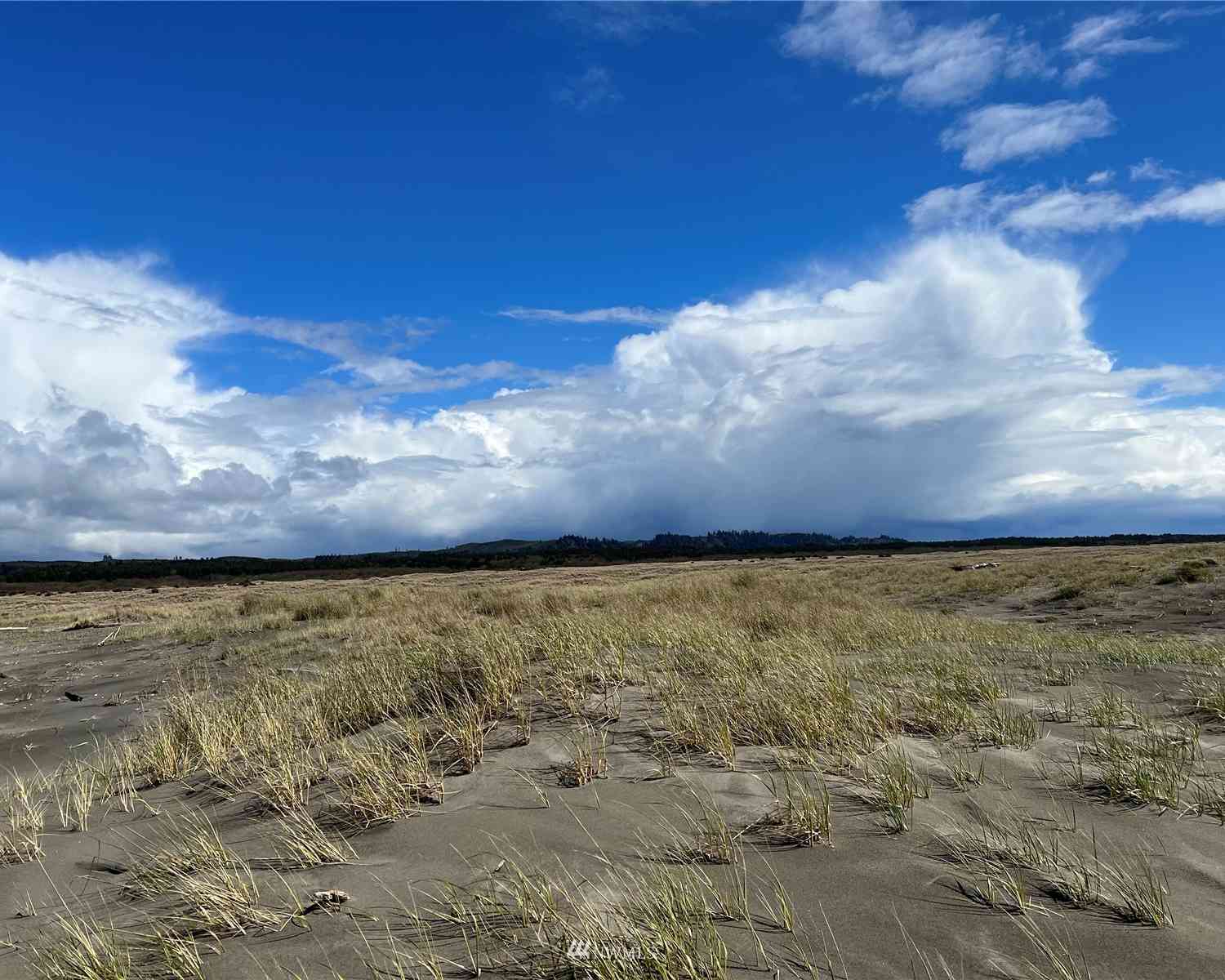 30 S State Route 105, Grayland, Washington image 11