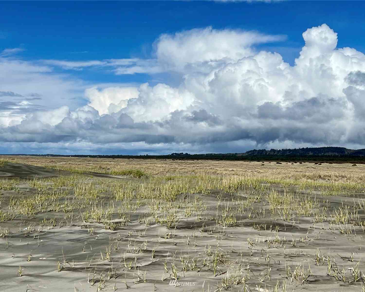 30 S State Route 105, Grayland, Washington image 3