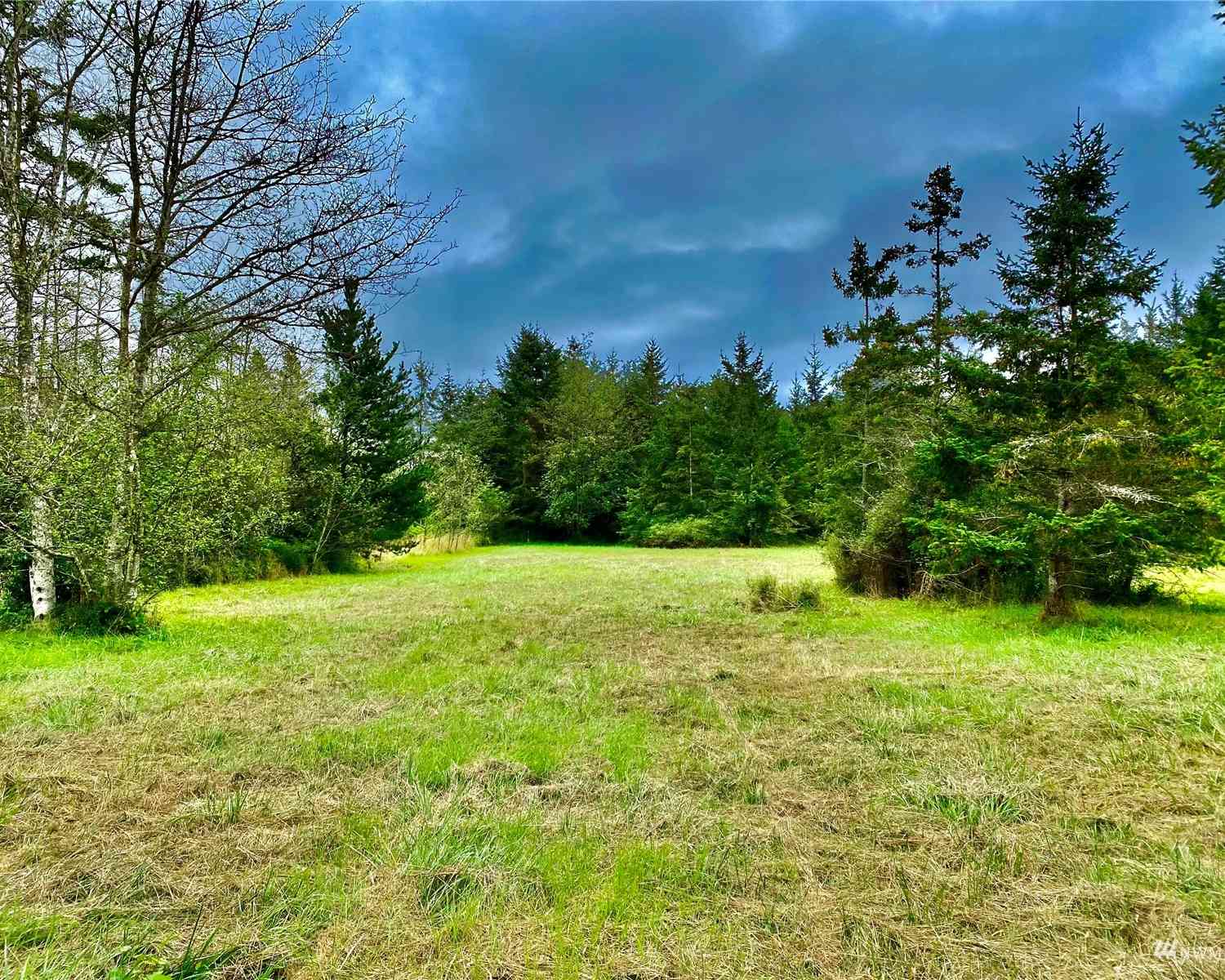 2231 Bailer Hill Road, Friday Harbor, Washington image 12