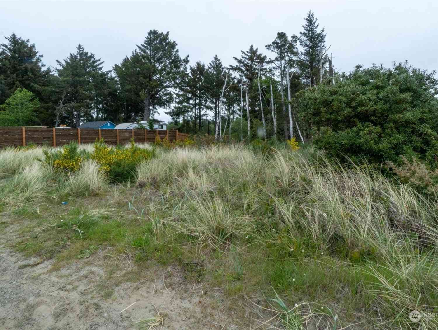 32202 J Place, Ocean Park, Washington image 39