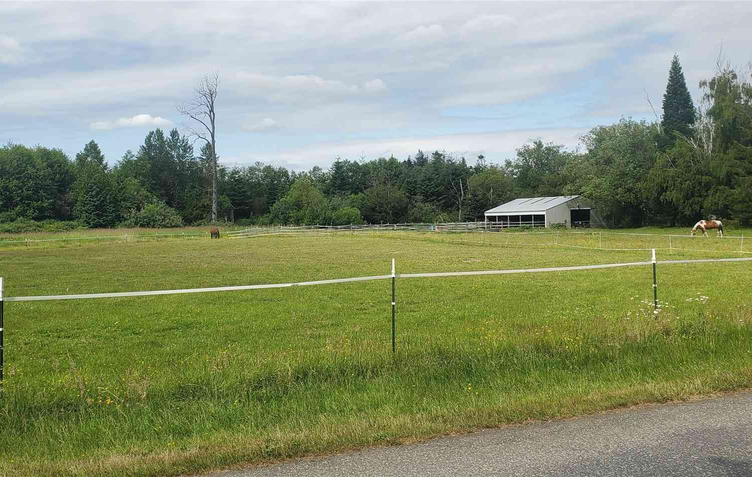 Newkirk Road, Ferndale, Washington image 7