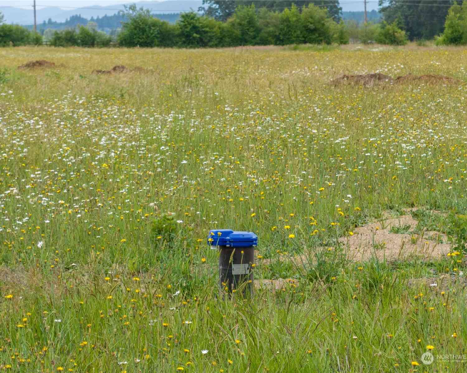 0 L4 Laussier Road, Toledo, Washington image 7